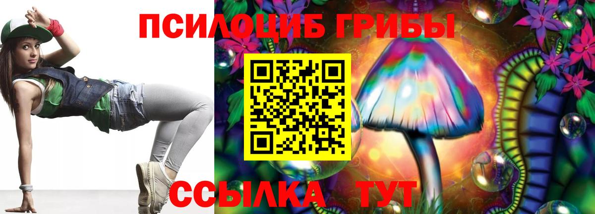 Псилоцибиновые грибы GOLDEN TEACHER  Вход с VPN  Ачхой-Мартан 